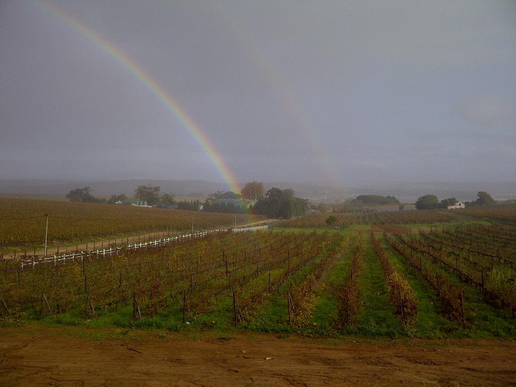 Dieu Donne Stellenbosch Exterior foto
